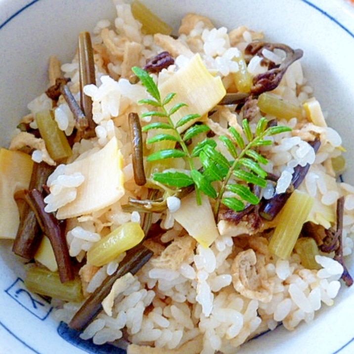 山菜ご飯